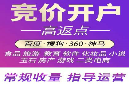 案例解读：SEM托管服务助力企业快速崛起